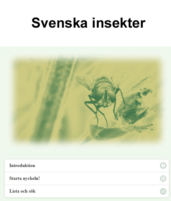 Svenska insekter (http://arthropoda.se/svenskainsekter/). En digital bestämningsnyckel till sveriges insekter. Riktar sig till amatörer och studenter. / Svenska insekter (http://arthropoda.se/svenskainsekter/). A digital identification key to Swedish insects, in Swedish only. Aimed towards amateurs and students.